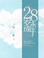28歲不成年