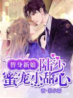 替身新娘：陸少蜜寵小甜心