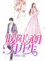 暖陽與朗月并生