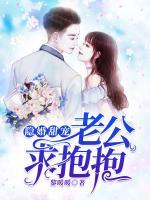 隱婚甜寵：老公，求抱抱