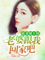 嬌妻撞上懷：老婆跟我回家吧