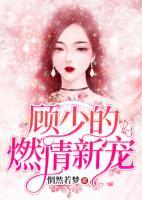 顧少的燃情新寵