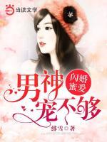 閃婚蜜愛：男神寵不夠