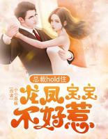 總裁hold?。糊堷P寶寶不好惹