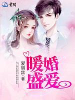 暖婚盛愛(ài)