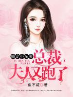 盛寵小淘妻：總裁，夫人又跑了
