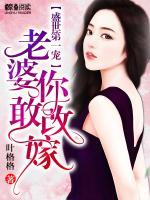 盛世第一寵：老婆，你敢改嫁！