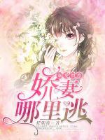 霸愛(ài)烈戀：嬌妻哪里逃
