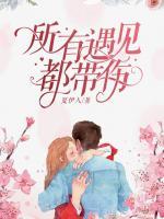 所有遇見(jiàn)都帶傷