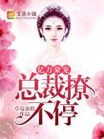 億萬豪寵：總裁撩不停