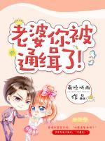 老婆，你被通緝了！