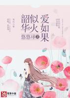 韶華似火愛如果