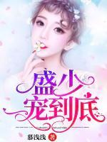 盛少，一寵到底