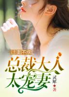 過妻不侯：總裁大人太寵妻
