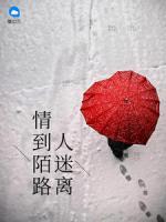 情到陌路人迷離
