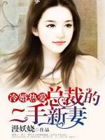 冷婚熱愛：總裁的二手新妻