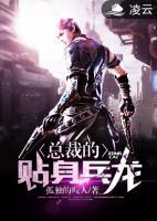 總裁的貼身兵龍