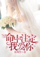 命中注定我愛你