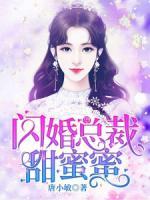 閃婚總裁甜蜜蜜