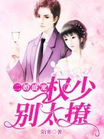 二婚盛寵：權(quán)少別太撩