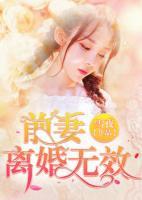 前妻，離婚無效