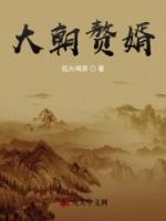 大朝贅婿