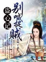 盜心記：別喊捉賊