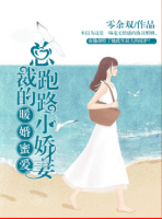 暖婚蜜愛：總裁的跑路小嬌妻