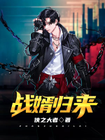 戰(zhàn)婿歸來