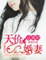 總裁的天價(jià)二婚妻