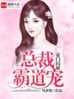 豪門閃婚：總裁霸道寵