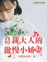 總裁大人的傲慢小嬌妻