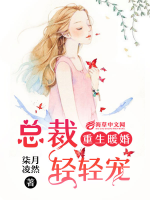 重生暖婚：總裁輕輕寵