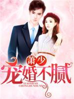 蕭少寵婚不膩