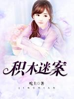 積木迷案