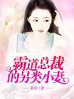 霸道總裁的另類小妻