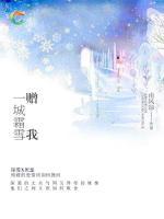 贈我一城霜雪