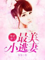 夢(mèng)碎豪門：最美小逃妻