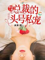 撩妻上癮：總裁的頭號(hào)私寵