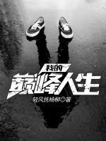 我的巔峰人生