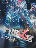 九維迷宮