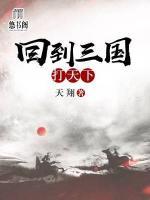 回到三國(guó)打天下