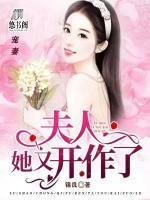 陸少寵妻：夫人她又開作了