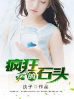 瘋狂的石頭