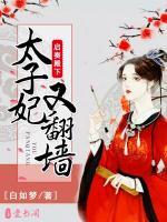 啟奏殿下，太子妃又翻墻