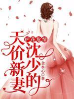 護花危情：沈少的天價新妻