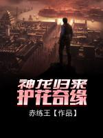 神龍歸來：護(hù)花奇緣