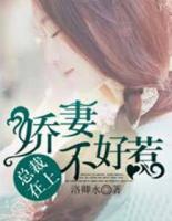 總裁在上，嬌妻不好惹