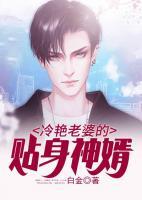 冷艷老婆的貼身神婿