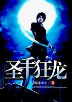 圣手狂龍